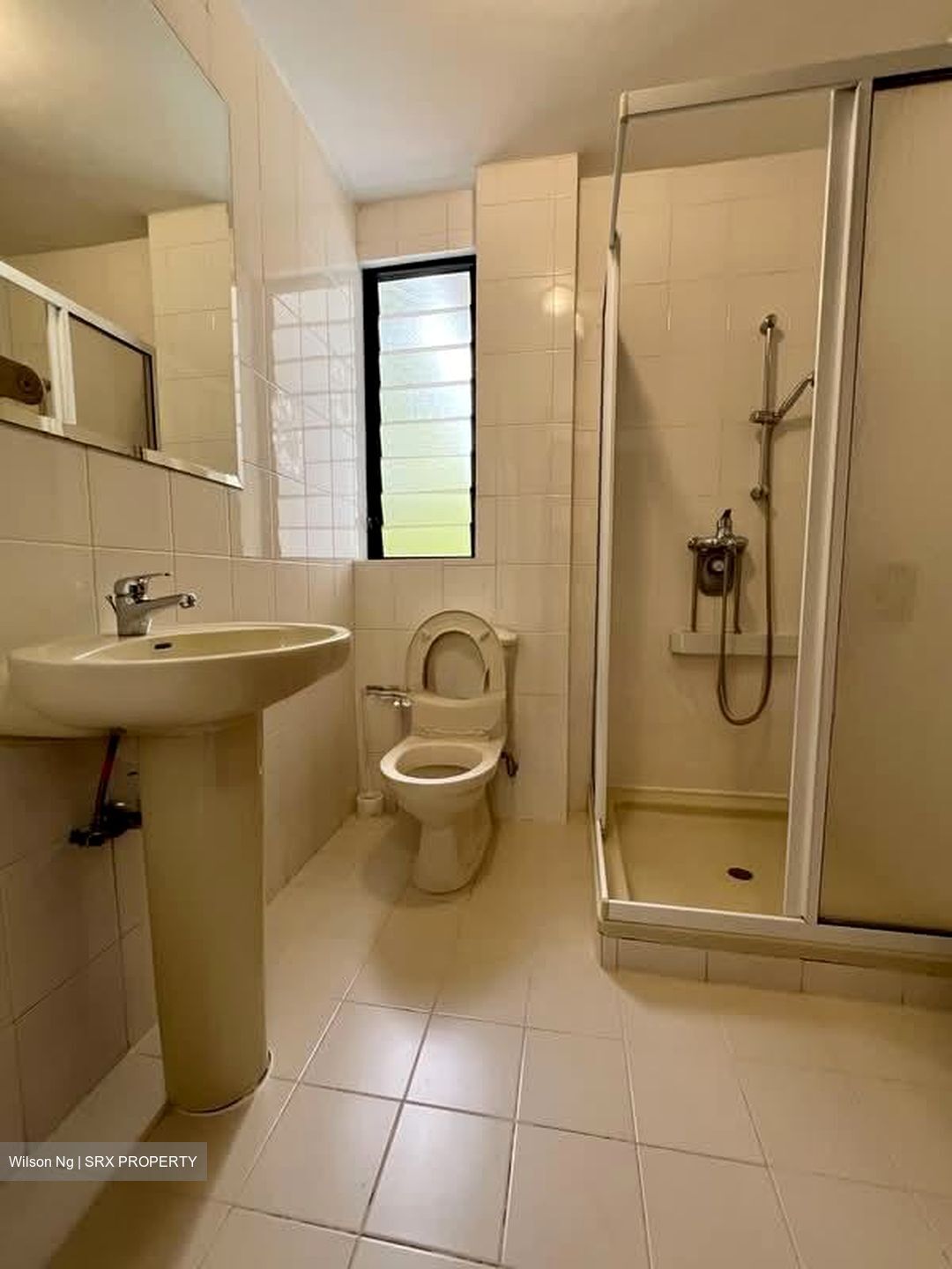 Regency Park (D10), Condominium #575471191
